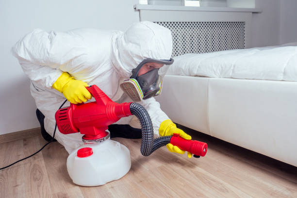 Best Flea Control Services  in Riverside, MD