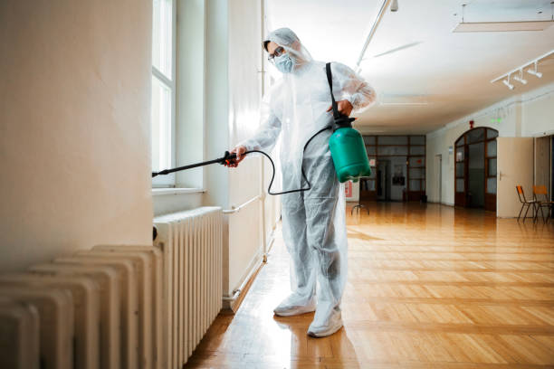 Best Wasp Removal Services  in Riverside, MD