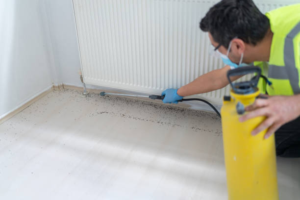 Best Exterminator Services  in Riverside, MD